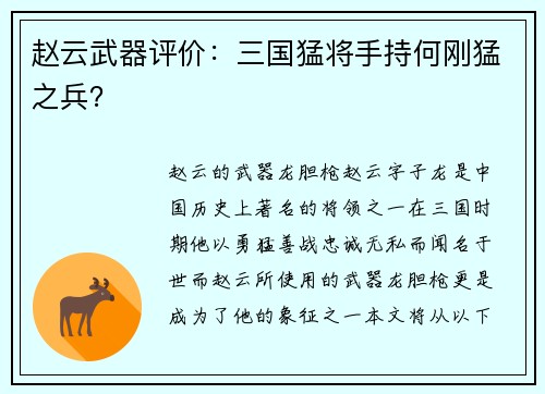 赵云武器评价：三国猛将手持何刚猛之兵？